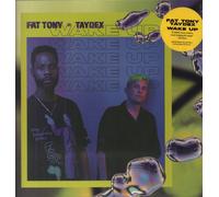 Fat Tony and Taydex Wake Up LP vinyl Europe Carpark 2020 limited edition 9 track