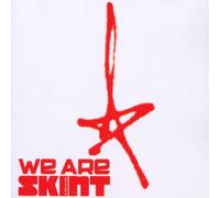 Fatboy Slim,Bentley Rhythm Ace,Lo-Fidelity Allstars, u.a - We Are Skint
