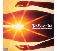 Fatboy Slim - Halfway Between the Gutter and - Vinyl Record - J3z