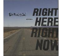 Fatboy Slim - Right Here Right Now [12" VINYL]