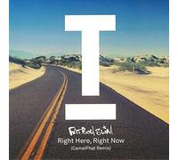 Fatboy Slim - Right Here, Right Now (CamelPhat Remix) [VINYL]