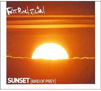 Fatboy Slim - Sunset Bird of Prey