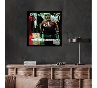 Fatboy Slim, You've Come A Long Way Baby, Album cover, poster, wall art. Print or Fully Framed Available. Actual size of original Vinyl Covers. (Framed)