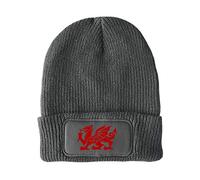 FatCuckoo - Welsh Dragon Antional Symbol Unisex Winter Thinsulate Beanie Hat Charcoal