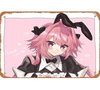 Fate/apocrypha, Astolfo (Fate/apocrypha), Rider Of Black (Fate/apocrypha), Fate Series Anime Poster Home Wall Art Decoration Retro Metal Tin Sign 8x12 inch