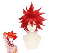 Fate/grand Order Super Karna Cosplay Wigs Red Short High-temperature Fiber Hair Wig for FGO Halloween Party Carnival One Size Karna