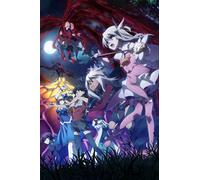 Fate/kaleid liner プリズマ☆イリヤ ツヴァイ ヘルツ! 第5巻 通常版 [DVD]