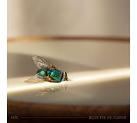 Milch Für die Fliegen