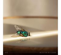 Milch Für die Fliegen (Lp) [VINYL]