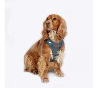 FatFace Marching Dogs Adjustable Dog Harness, X-Small