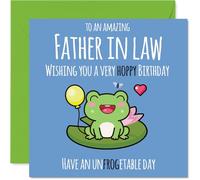 Father in Law Birthday Card - Cute Frog - Happy Birthday Card for Father in Law from Son Daughter, 145mm Fathers Day Greeting Cards