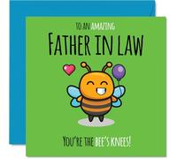 Father in Law Birthday Card - Youre The Bees Knees! - Happy Birthday Card for Father in Law from Son Daughter, 145mm cute bee Bday Greeting Cards