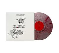 Father John Misty - Mahashmashana Ink and Haze Poster and Booklet Father John Misty
