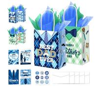 Father's Day Gift Bag Card Set, Including Two Gift Bags with Four Cards, Nine Stickers, Five Envelopes and Two Tissue Papers (Blue and Green)