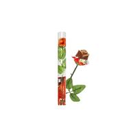 Father's Day | Milk Chocolate Red Rose In A Red & Clear Gift Box 20 g | Sweets Gift | Great For Valentines, Mother's Day, and Date Nights