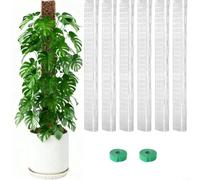 Fauhapyway 24'' D-Shaped Plastic Moss Pole Set Climbing Plants Vertical Growth Support Stakes Monstera Enhanced Root Attachment Structure (6PCs)