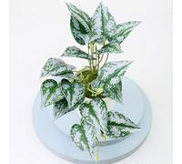 Fauhapyway Artificial Bonsai Plant 22cm Plastic Simulation Pot Tree, Lifelike Fake Greenery for Home Office Wedding Party Table Desk Decor(H)