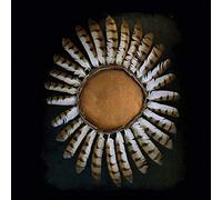 Fauna - Avifauna