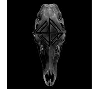 Fauna The Hunt (Vinyl) 12" Album (US IMPORT)