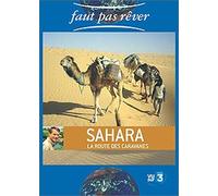 Faut Pas Rever Sahara..