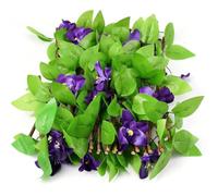 Faux Greenery Wall - Adjustable Leaf Hedge Panel Mat, Artificial Plant Hedges Wals Decor Easy Install Versatile Design | Ideal for Balcony Staircase Walls Garden Patio Home Decoration Diy Use