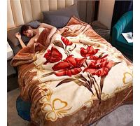 Faux Halloween weighted Mink Fleece heating Blanket,9 Lb Fluffy Plush heavy Soft Warm Blanketfor Autumn,Winter,Bed,Home,Gi-fts,D,200 * 230/79x91in 3.5Kg