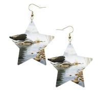 Faux Leather Earrings for Women Star Teardrop Dangle Earring Fashion Lightweight Pierres naturelles Earring for Valentine's Day Jewelry Gift, One Size, No Gemstone