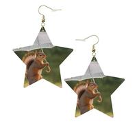Faux Leather Earrings for Women Star Teardrop Dangle Earring Fashion Lightweight Squirrel Hold A Umbrellas Earring for Valentine's Day Jewelry Gift, One Size, No Gemstone