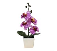 Faux Orchid with Four Realistic Blooms and Fine Textural Details in Minimalist White Square for Consistent Indoor Aesthetic (Purple Red)