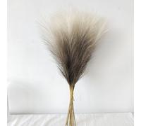 Faux Pampas Grass Firework Design Tall Stems for Home Decor - Bendable Artificial Reed Grass for Vase Filler Living Room 55cm(beige)