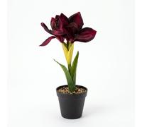 Homescapes Faux Red Amaryllis In Pot, 36Cm