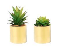 Faux Succulent Artificial Plants 7'' & 5'' in Pots Home Decoration Set of 2 Gold Pots