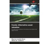 Favela: Alternative asset valuation: An exploratory analysis of the Santa Lúcia Subnormal Agglomerate