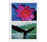 Favorit 100460152 - Photographic covers, 21 x 15 cm, Pack of 10