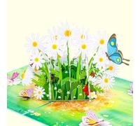 Favour Pop Up® - 3D Card - A Bouquet of Daisies Surrounded by a Meadow Landscape for Birthdays, Recovery or Greetings. With Insert Card to Write on. TL098