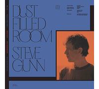 Gunn, Steve / Fay, Bill - Dust Filled Room [VINYL]
