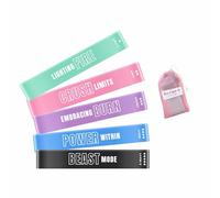 FayeFit Resistance Bands for Working Out - Exercise Bands Resistance Loops, Workout Bands, Physical Therapy Bands. Set of 5 Stretch Bands for Exercise at Home + Carry Bag. Legs, Booty, Arms.