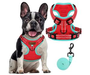 FAYOGOO Adjustable Dog Harness No Pull Reflective for Small Medium Large Dogs UK Walking Training French Bulldog Pug Shih Tzu Puppy Extra XS XL