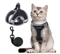 FAYOGOO Cat Harness and Lead Set Escape Proof Soft Vest Harness for UK Cats | Reinforced Stitching, Heavy Duty Velcro, Breathable Mesh and Reflective Trim, Long Lead with Strong Hold Fit for Cats