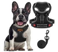 FAYOGOO Dog Harness and Lead Set for Small Medium Dogs Anti Pull with Reflective Breathable Mesh Puppy Vest for Training Control Secure Walking