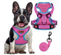 FAYOGOO Dog Harness and Lead Set for Small Medium Dogs Anti Pull with Reflective Breathable Mesh Puppy Vest for Training Control Secure Walking