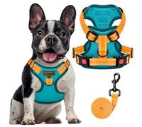 FAYOGOO Dog Harness Medium, No Pull Vest Harness with 2 Clips Training Anti Pull, Adjustable Soft Padded Reflective No Choke with Easy Control Handle for Training or Walking, Blue,XL