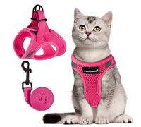 FAYOGOO Kitten Harness and Lead Set Escape Proof Small Cat UK Walking Leash Adjustable Soft Reflective Velcro Secure Easy Step In Vest