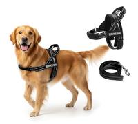 FAYOGOO Service Dog Vest for Small to Large Sized Dogs,Lightweight Service Dog Harness with Adjustable Chest Strap,No-Pull No-Chock Escape Proof Dog Harness for Walking Training