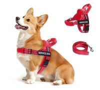 FAYOGOO Service Dog Vest for Small to Large Sized Dogs,Lightweight Service Dog Harness with Adjustable Chest Strap,No-Pull No-Chock Escape Proof Dog Harness for Walking Training