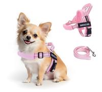 FAYOGOO Service Dog Vest for Small to Large Sized Dogs,Lightweight Service Dog Harness with Adjustable Chest Strap,No-Pull No-Chock Escape Proof Dog Harness for Walking Training