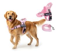 FAYOGOO Service Dog Vest for Small to Large Sized Dogs,Lightweight Service Dog Harness with Adjustable Chest Strap,No-Pull No-Chock Escape Proof Dog Harness for Walking Training
