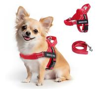 FAYOGOO Service Dog Vest for Small to Large Sized Dogs,Lightweight Service Dog Harness with Adjustable Chest Strap,No-Pull No-Chock Escape Proof Dog Harness for Walking Training