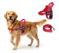 FAYOGOO Service Dog Vest for Small to Large Sized Dogs,Lightweight Service Dog Harness with Adjustable Chest Strap,No-Pull No-Chock Escape Proof Dog Harness for Walking Training