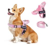 FAYOGOO Service Dog Vest for Small to Large Sized Dogs,Lightweight Service Dog Harness with Adjustable Chest Strap,No-Pull No-Chock Escape Proof Dog Harness for Walking Training
